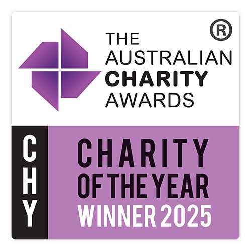 2025 CHY 300ppi S web