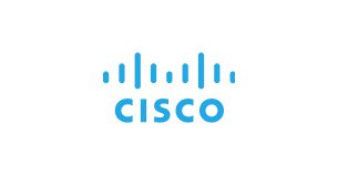 Cisco partner