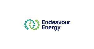 Endeavour partner